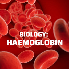 Biology: Haemoglobin