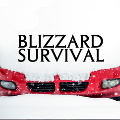 Blizzard Survival