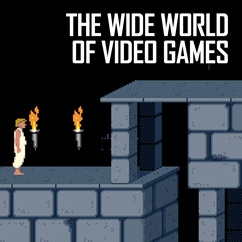 The Wide World of Video Games